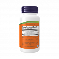 NOW Ginkgo Biloba, Гинкго Плюс, 60 капсул